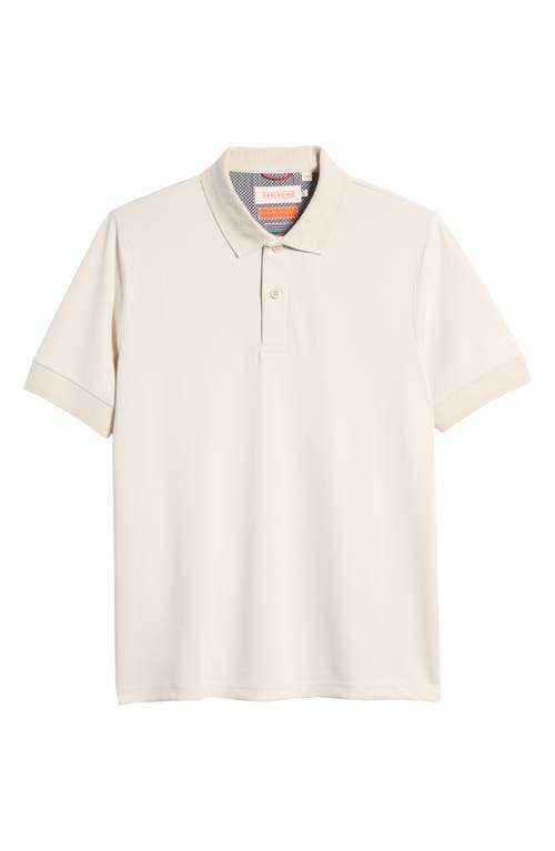 Shop Sealskinz Roydon Soft Touch Polo In Cream