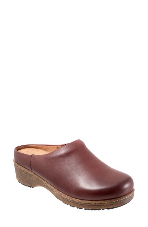 SoftWalk Arvada Mule Dark Cherry at Nordstrom,