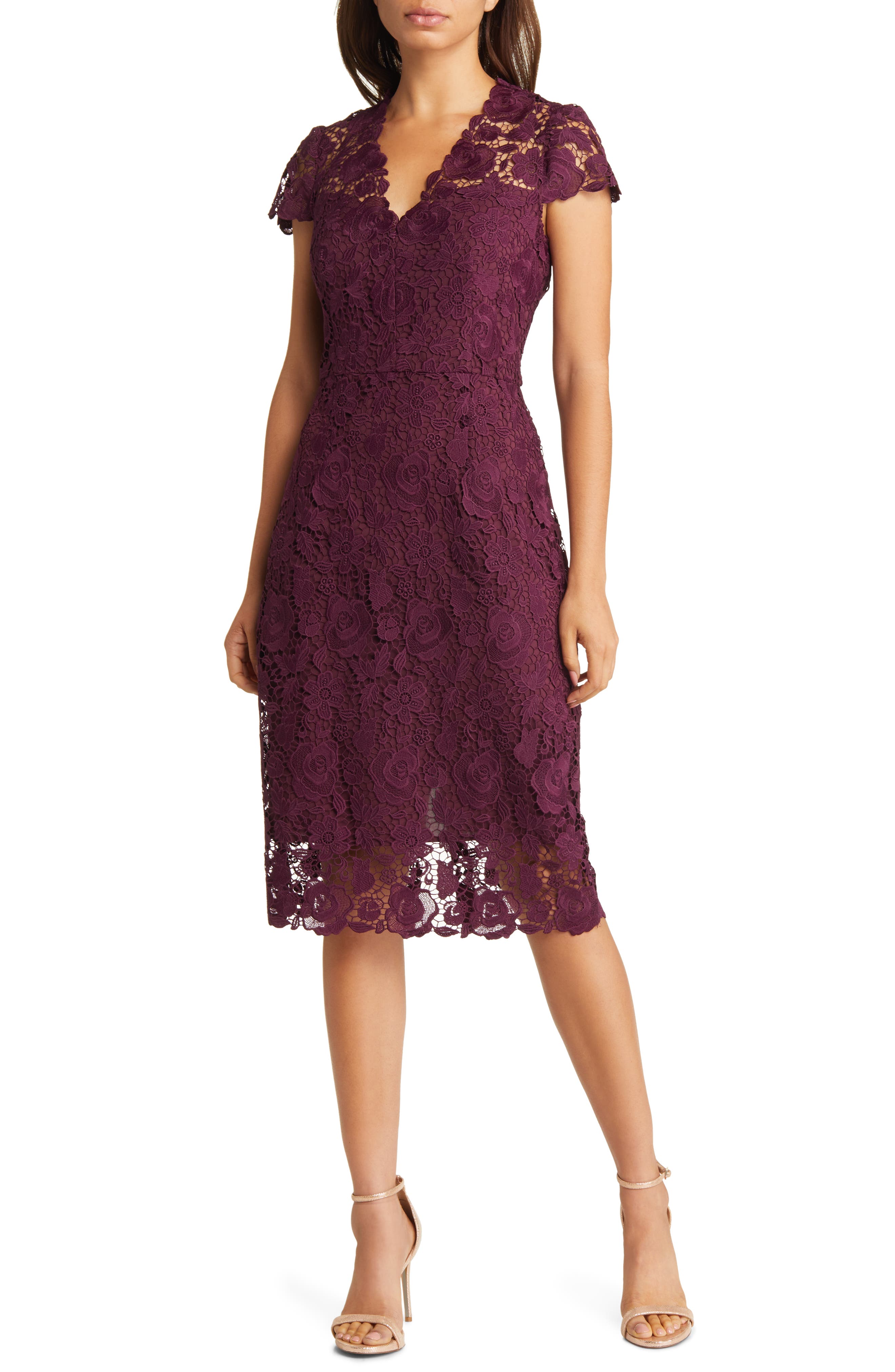 eliza j lace sheath dress