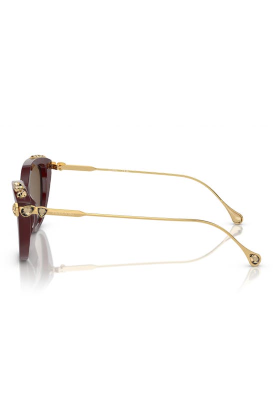 Swarovski 53mm Cat Eye Sunglasses In Dark Brown