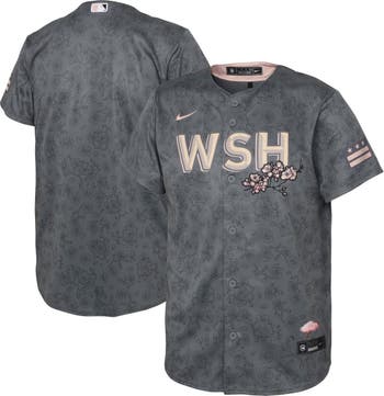 Toddler Washington Nationals Nike Gray 2022 City Connect Replica Jersey