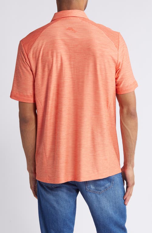 Shop Tommy Bahama Palm Coast Pro Solid Polo In Lava Burst