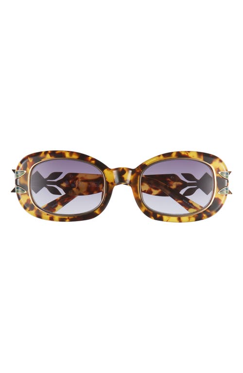 Casablanca Laurel Gradient Oval Sunglasses in T-Shell/Gold/Laurel/Brown at Nordstrom