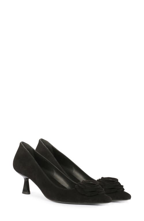 SAINT G Lico Pointed Toe Pump in Black 