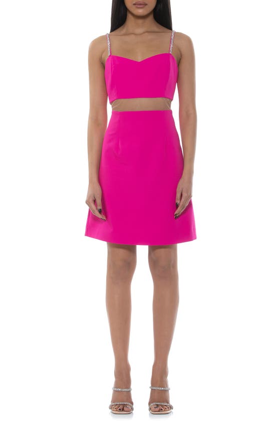 Alexia Admor Eloise Fit & Flare Dress In Hot Pink