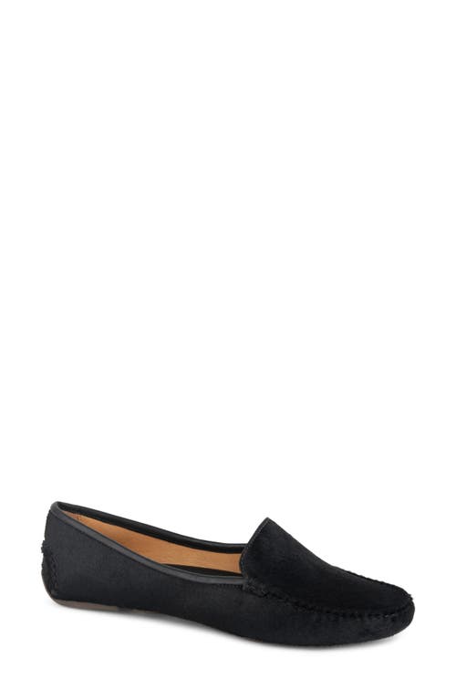 patricia green 'Jillian' Loafer in Black Haircalf 