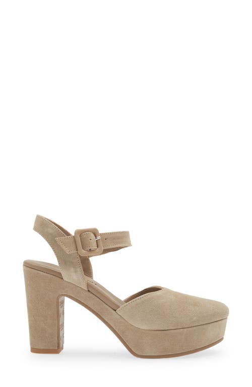Cordani Torin Ankle Strap Platform Pump In Tortora Suede
