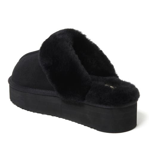 Shop Dearfoams Fireside Melton Genuine Shearling Platform Scuff Slipper In Black