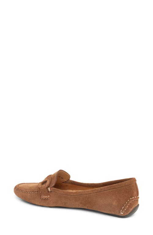 Shop Patricia Green Jane Bit Loafer In Cognac Suede