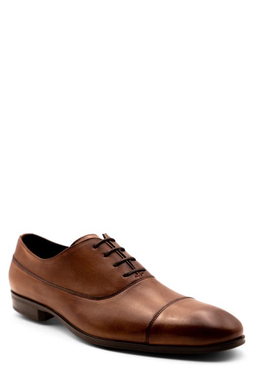 G Brown Bailey Cap Toe Oxford in Taupe