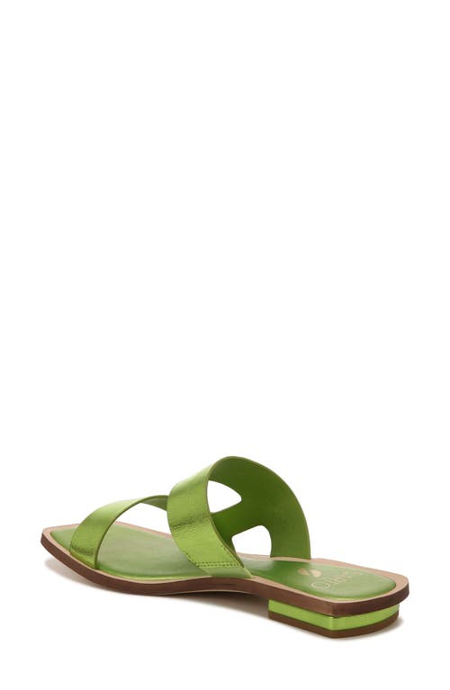 SARTO BY FRANCO SARTO SARTO BY FRANCO SARTO EMILY SLIDE SANDAL 