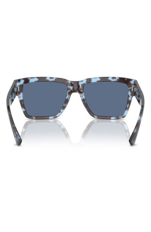 Shop Dolce & Gabbana Dolce&gabbana 55mm Square Sunglasses In Havana Blue