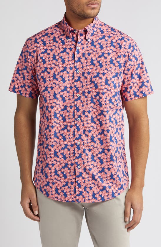 Brooks Brothers Regular Fit Floral Short Sleeve Button-up Shirt In Navyredfloral