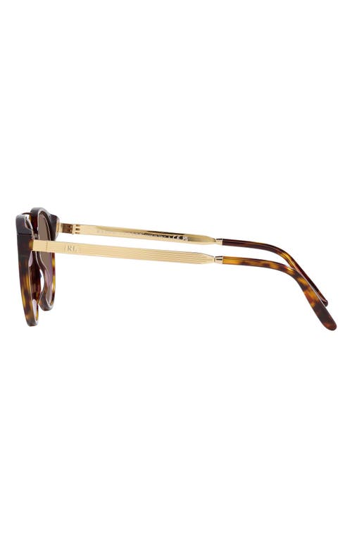 Shop Ralph Lauren 49mm Round Sunglasses In Dark Havana/brown