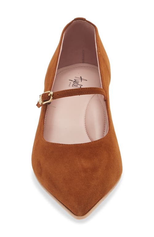 Shop Naot Rosalie Pointed Toe Pump In Brown Suede