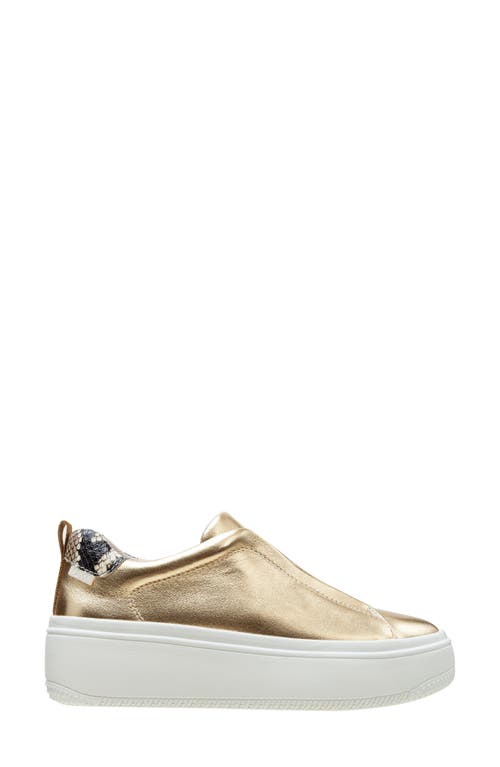 Linea Paolo Golde Platform Sneaker In Dark Gold/natural
