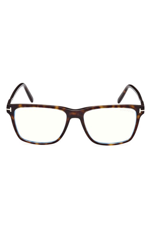 TOM FORD 56mm Square Blue Light Blocking Glasses in Dark Havana at Nordstrom