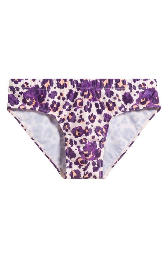 Shop Boardies Cheetah Swim Briefs In Purple Multi