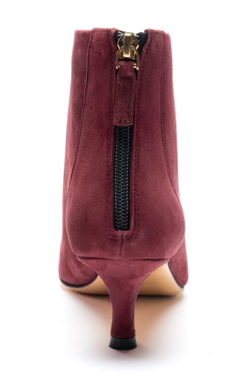 Bruno Magli Francesca Pointed Toe Kitten Heel Bootie In Bordeaux Suede