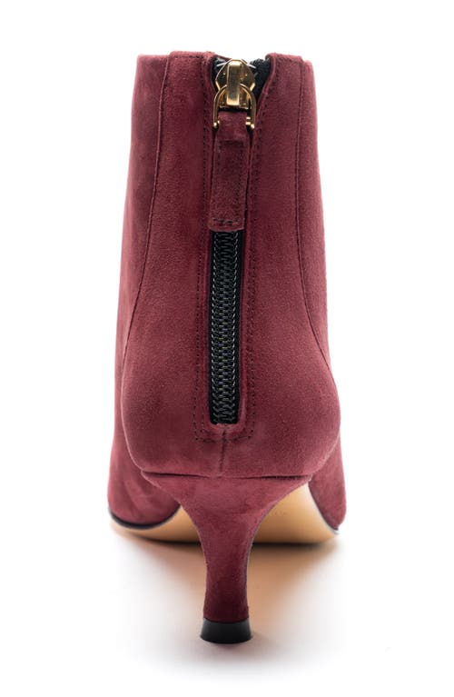 Shop Bruno Magli Francesca Pointed Toe Kitten Heel Bootie In Bordeaux Suede