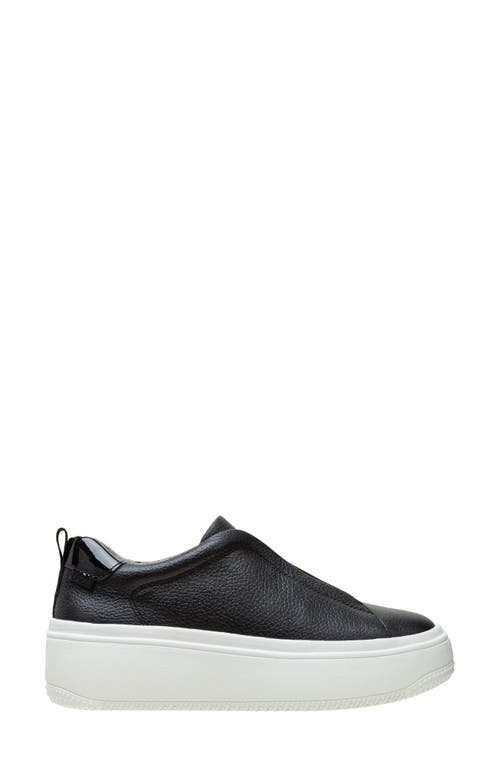 Linea Paolo Golde Platform Sneaker In Black