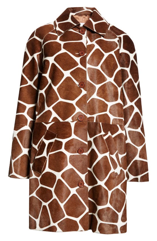 Michael Kors Giraffe Print Genuine Calf Hair Balmacaan Coat In White/ Nutmeg