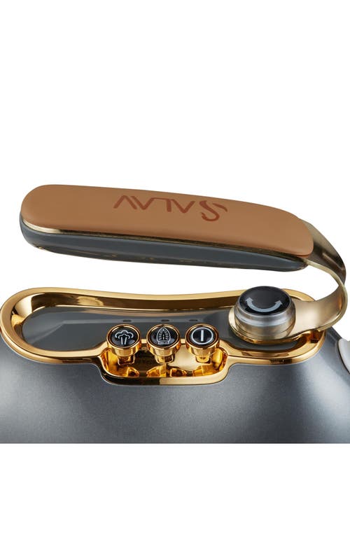 Salav Titanium Retro Edition Duopress Steamer And Iron In Titanium