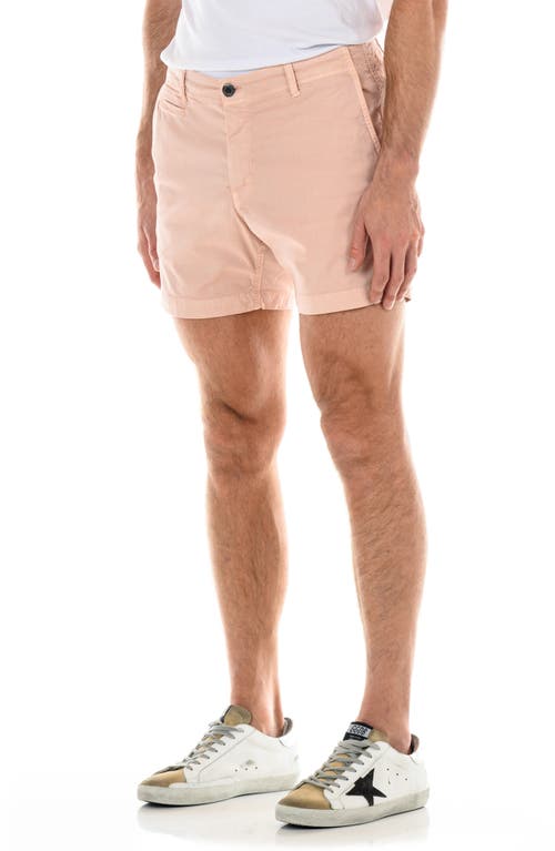 Original Paperbacks Walden Chino Shorts In Blush