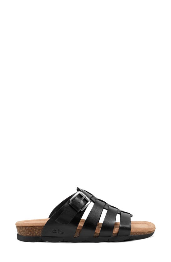 Shop Earth ® Eresa Sandal In Black