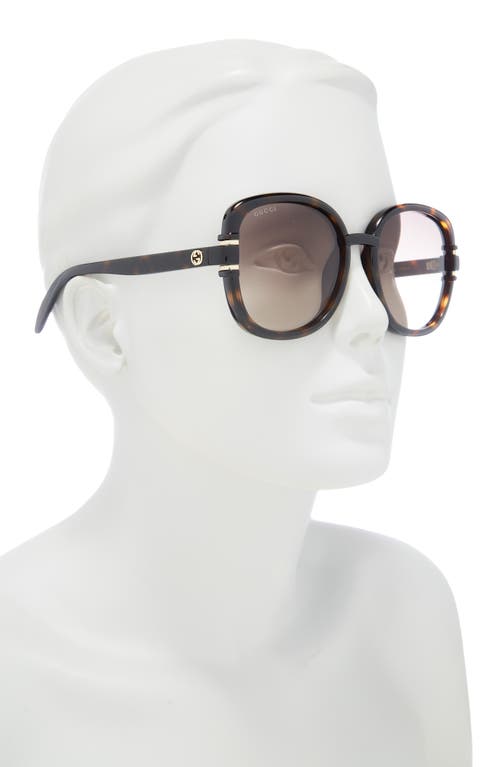 Gucci 57mm Square Sunglasses In Havana Havana Brown