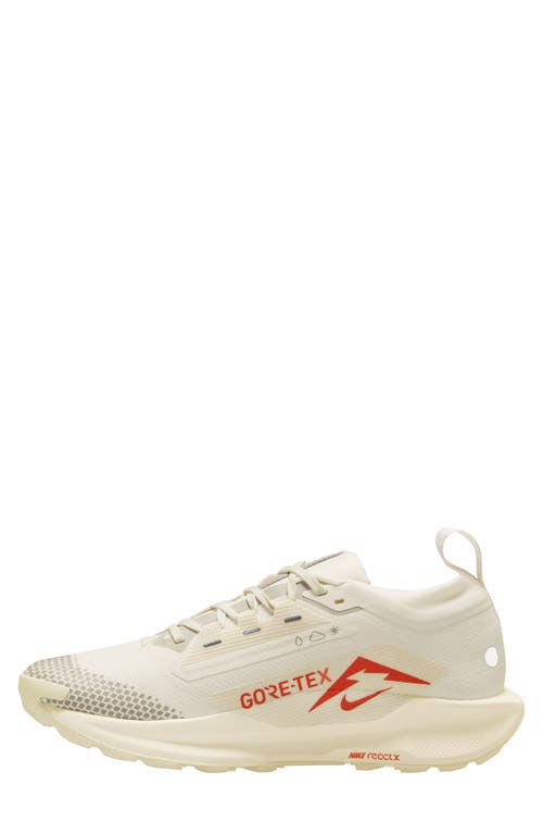 Nike Men's Pegasus Trail 5 Gore-tex Waterproof Trail Running Shoes In Sail/ Light Orewood Brown/ Red