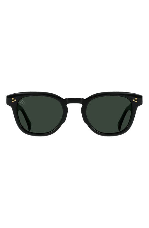 Squire 49mm Polarized Round Sunglasses in Recycled Black/Green Polar