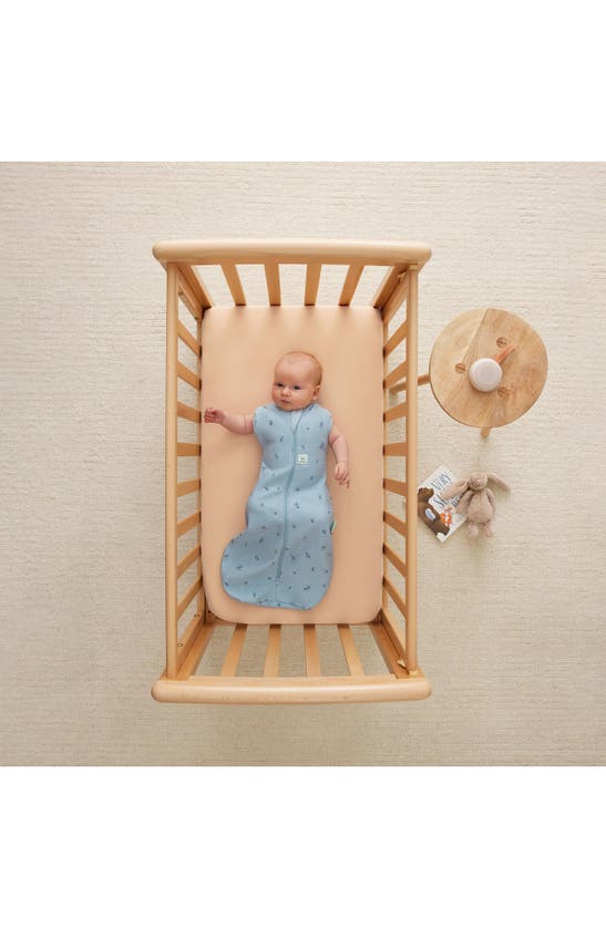 Ergopouch 0.2 Tog Organic Cotton Cocoon Swaddle Sack In Dragonflies