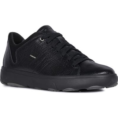 Geox Nebula 2 Sneaker, Black