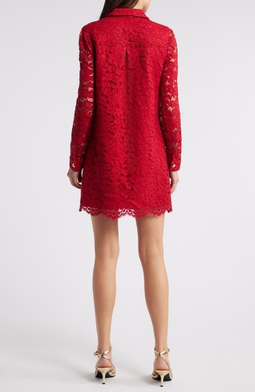 Shop Saylor Luna Long Sleeve Lace Shirtdress In Crimson