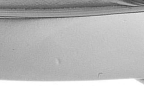 Eye Candy Los Angeles Teresa Belt Cuff Bracelet In Silver