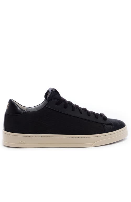 P448 Jack Sneaker in Black Tie 