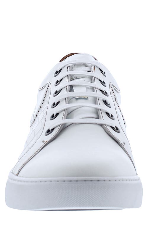 Shop Robert Graham Uffizi Sneaker In White