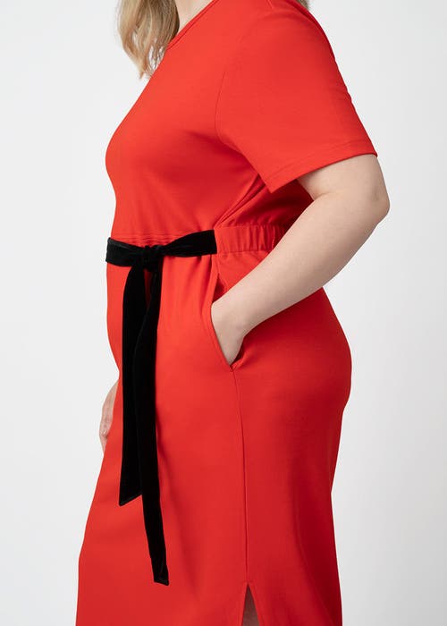 See Rose Go Coolrose Luxe Midi Plus Size Dress With Velvet Tie In Poppy