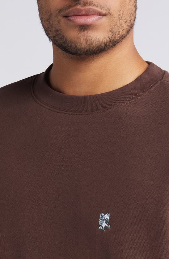 Shop Quiet Golf Embroidered Owl Cotton Sweatshirt In Brown