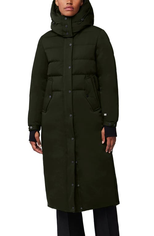 Nordstrom Soia Kyo Vero 750 Fill Power Down Longline Jacket at Nordstrom Mall of America