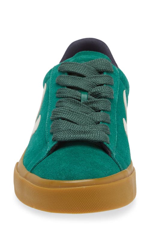 Shop Veja Campo Sneaker In Golf Pierre