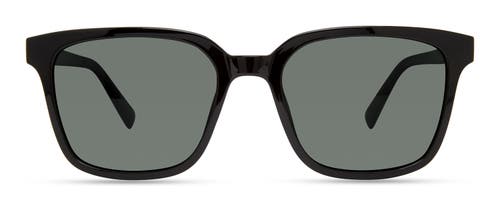 Eco Miller Sunglasses In Black