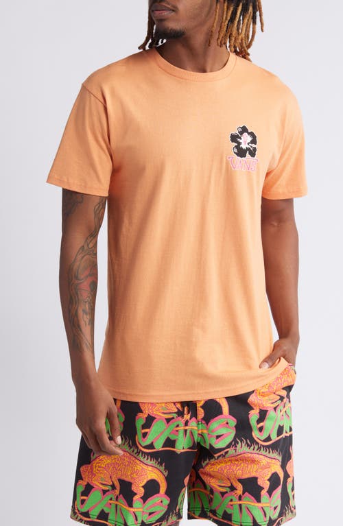 Vans All Day Cotton Graphic T-Shirt Copper Tan at Nordstrom,