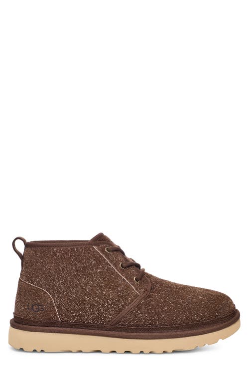 Shop Ugg(r) Neumel Shaggy Suede Chukka Boot In Burnt Cedar