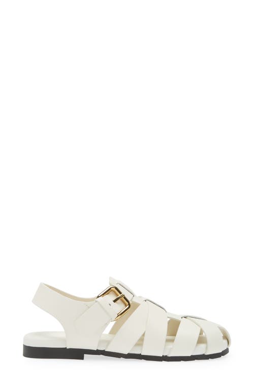 Shop Bottega Veneta Alfie Fisherman Sandal In White