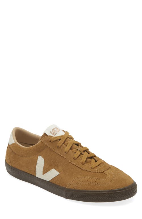 Shop Veja Volley Sneaker In Tent/natural/eagle