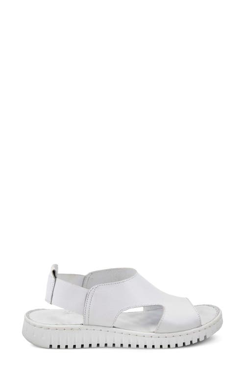 Shop Spring Step Abadessa Slingback Sandal In White