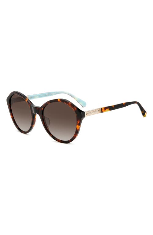 Kate Spade New York Jezebel 54mm Gradient Round Sunglasses In Havana/brown Gradient