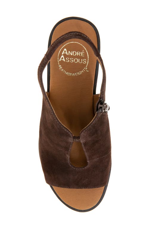 Shop Andre Assous André Assous Belinda Wedge Slingback Sandal In Cocoa Powder